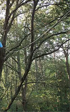 Histoires de la zad de Notre-Dame-des-Landes